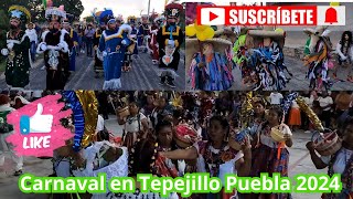 Así fue el Carnaval en Santa Ana Tepejillo Puebla 2024 celebrando a la patrona Santa Ana [upl. by Sheedy]