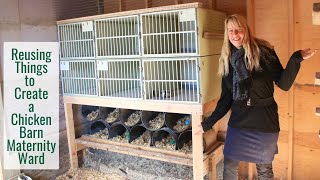 ReUsing Discarded Things to Create a Chicken Barn Maternity Ward  A Better Setup For Broody Mamas [upl. by Ezar2]