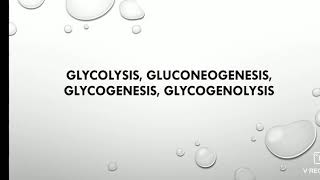 Glycolysis gluconeogenesis glycogenesis glucogenolysis [upl. by Lenra173]