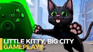 LITTLE KITTY BIG CITY esse jogo nasceu para a live sussona de sexta [upl. by Elrae]