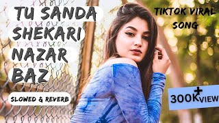 Tu Sanda Shikari Nazar Baz  TikTok Viral Song Trending Lofi Song  Slowed amp Reverb Lofi Media 90 [upl. by Lamrouex69]