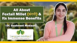 All about Foxtail Millet amp its immense benefit  Arogyam Nutrition by Dr Richa Garg [upl. by Atinihc165]