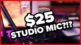 25 STUDIO MICROPHONE  Neewer NW700 Professional Condenser Microphone Review Unboxing and Demo [upl. by Acinorej408]