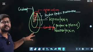 HSC BiologyBiology 2nd PaperEnglish Version [upl. by Kalle]