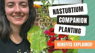 Companion Planting With Nasturtiums To Deter Garden Pests [upl. by Hadrian]