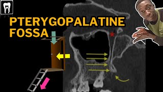 Pterygopalatine Fossa Anatomy  PPF Boundaries and Foramina  Radiology Anatomy [upl. by Holbrook]