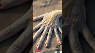 Good Snake ViperReels viralvideo trending shortvideo animals amazing for you [upl. by Meensat315]