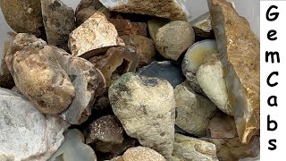 Box of Mystery Agates Sorted for Future Cabochons and Polished Specimens [upl. by Eednil]