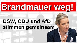 Brandmauer fällt weiter AfD BSW und CDU stimmen zusammen ab Keine Windräder in Berlin Lichtenberg [upl. by Ysirhc788]