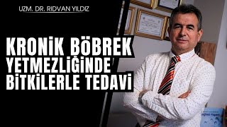 Kronik böbrek yetmezliğinde bitkilerle tedavi  Dr Rıdvan Yıldız [upl. by Ecille524]