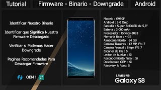 CAMBIAR DE BINARIO EN UN CELULAR SAMSUNG 100 FUNCIONAL [upl. by Eimmaj904]