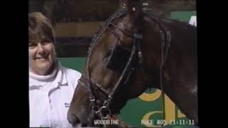 2001 Woodbine MACH THREE Randy Waple Breeders Crown Elimination [upl. by Olsewski]