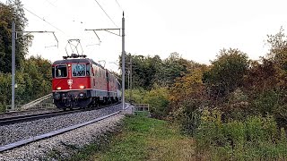 Bözberg 2019 Bahnverkehr in Zeihen amp Schinznach Mit Re 44 II und III 11350 IR36 amp EC 11102019 [upl. by Fiona]