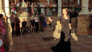 Flamenco dance group in Plaza de España Sevilla September 2019 [upl. by Esiole399]