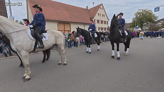 Göllsdorf Saukirbe am 0610 2024 Umzug Teil 1 [upl. by Ahsinaj]