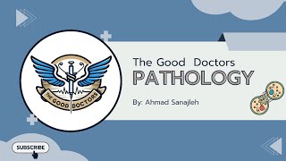 Lecture 6  Acute inflammation 1  Pathology [upl. by Euqina]