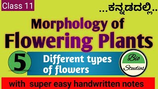 Class 11 ಕನ್ನಡದಲ್ಲಿ  Morphology of Flowering Plants  05  Flower [upl. by Yerfoeg]