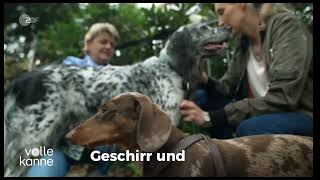 LOCKness Hundediebstahlschutz [upl. by Brabazon]