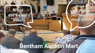 Bentham Auction Mart [upl. by Dulcine]