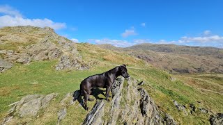 Fairfield Horseshoe drone footage [upl. by Aikehs407]