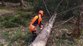 Tronçonneuse Thermique MS 400 CM STIHL [upl. by Clerc]