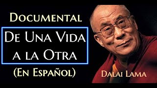 💥EI DALAI LAMA DE UNA VIDA A OTRA  Español [upl. by Alyek371]