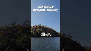 What Do Aboriginal People Call Different Crocodile Species [upl. by Arriat425]