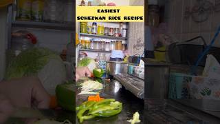 easiest schezwan rice recipe schezwanrice recipe lunch livingalone 2024 minivlog [upl. by Ecyarg]