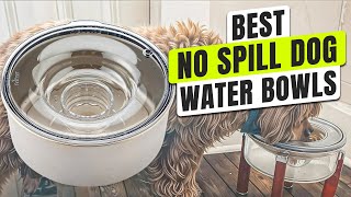 Top 3 BEST No Spill Dog Water Bowl [upl. by Anelec344]