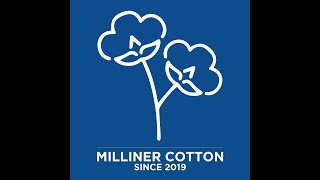 Milliner Cotton Initiative [upl. by Windzer922]