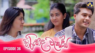 HIRIPODA WESSA  EPISODE 36  හිරිපොද වැස්ස  04th November 2024 [upl. by Uzzi464]