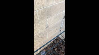 Cavity wall insulation devalues property [upl. by Llimaj]