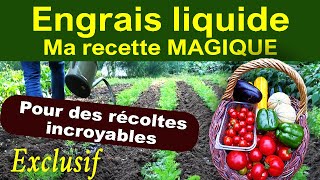 Engrais liquide Ma recette secrète avec seulement 3 ingrédients simples et compatible bio [upl. by Llevol]