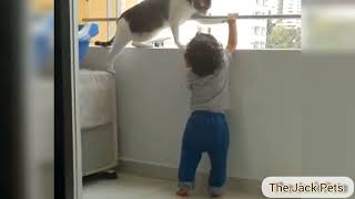 Cat saves Toddler from falling Down balcony [upl. by Hairym]