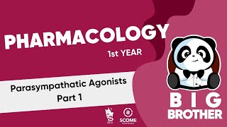 Parasympathetic Agonists part 1 [upl. by Hughett]