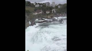 The Rhine FallsSwitzerland europe travel switzerland rhinefalls nature falls [upl. by Iznik]