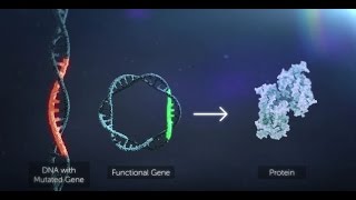 Gene Therapy Explained [upl. by Huskamp]