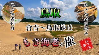 鳥取 もさ海老旅 倉吉〜白兎神社〜鳥取砂丘 猛者海老を食べに鳥取へ【ふうふ旅】 [upl. by Battista]