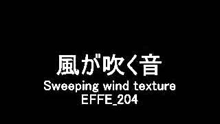 【フリー効果音】風が吹く音 Sweeping wind texture EFFE 204 [upl. by Robina432]