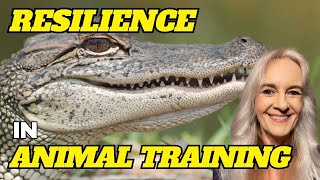 An Exploration Of Resilience In Animal Training [upl. by Gaelan]