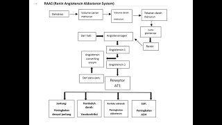 BELAJAR MUDAH MEMAHAMI PATOFISOLOGI HIPERTENSI RAAS RENIN ANGIOTENSIN ALDOSTERON SYSTEM farmasi [upl. by Geraldine]