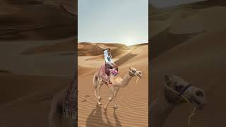 I was finding my golden city in desertviralvideo desert camel animation cartoon [upl. by Notyrb]