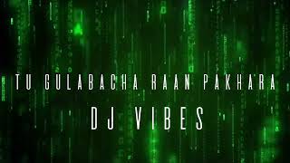 Tu gulabacha raan pakhara Dj song full bass [upl. by Riccardo]