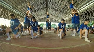 CHEER DANCE  APHS Terpsichorean Guild Intrams 2016 [upl. by Anaehs]