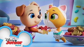 Sometimes Its More Fun to Share  Music Video  TOTS Disney Junior [upl. by Nosidam]