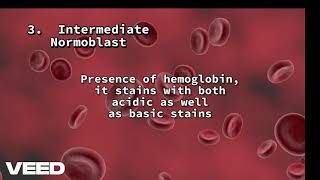 Stages of Erythropoiesis [upl. by Byrle571]