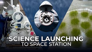 Science Launching on SpaceXs 31st Cargo Resupply Mission to the Space Station [upl. by Neil]