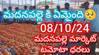 081024 Madanapalle Tomato Market price Today  Today Tomato Market Rate in Madanapalle today [upl. by Isnam661]