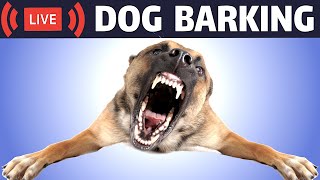 Dog Barking Sound  Dogs Barking Live Bark [upl. by Anikehs]