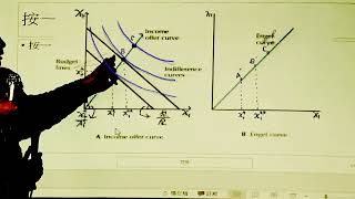 個體經濟E0115 新版Homothetic preference 齊序偏好 會形成正斜率直線型的恩格爾曲線Engel curve [upl. by Ganny]